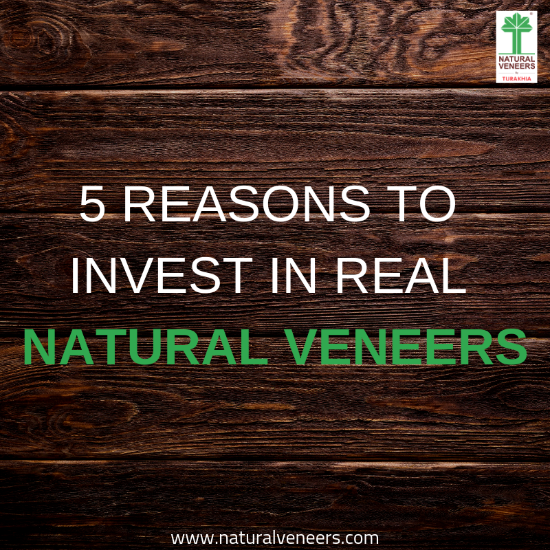 5 Reasons To Invest In Real Natural Veneers