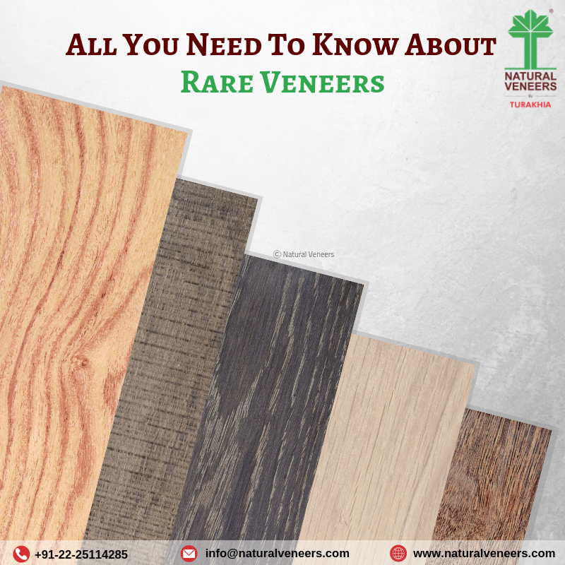All You Need To Know About Rare Veneers…