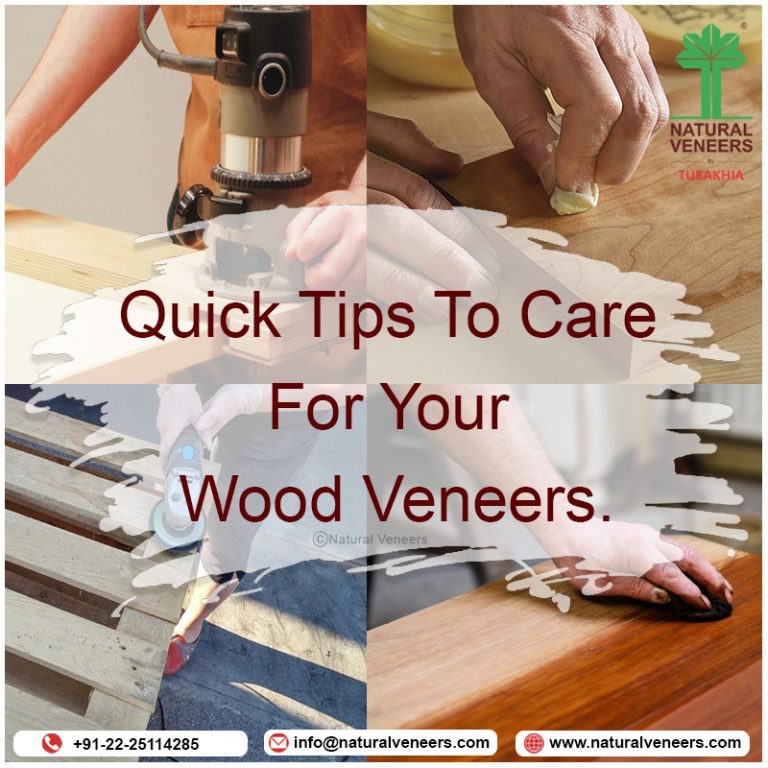 Quick Tips To Care For Your Wood Veneers | Natural Veneers By Turakhia